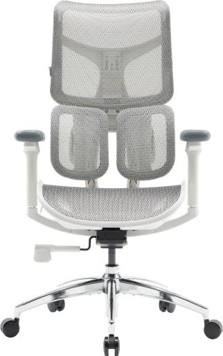 Крісло офісне Sihoo DORO S100 Mesh White