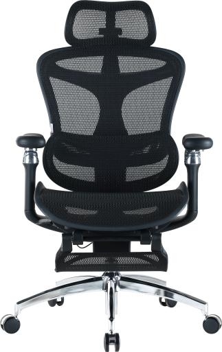 Крісло офісне з підставкою для ніг Sihoo DORO C300 Pro Mesh Black with footrest