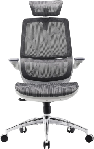 Крісло офісне Sihoo M59AS Mesh Gray