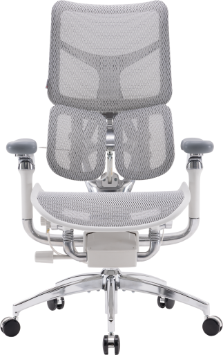 Крісло офісне Sihoo DORO S300 Mesh Light Grey