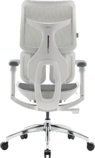 Крісло офісне Sihoo DORO S100 Mesh White