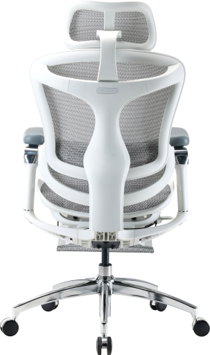 Крісло офісне з підставкою для ніг Sihoo DORO C300 Pro Mesh White with footrest