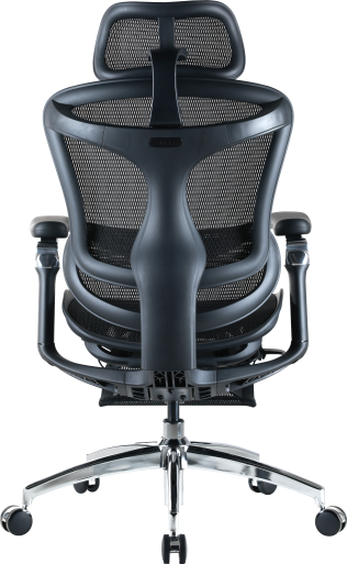 Крісло офісне з підставкою для ніг Sihoo DORO C300 Pro Mesh Black with footrest