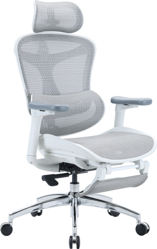 Крісло офісне з підставкою для ніг Sihoo DORO C300L Mesh White with footrest