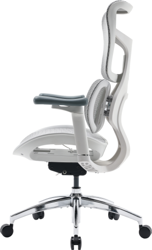 Крісло офісне Sihoo DORO S100 Mesh White