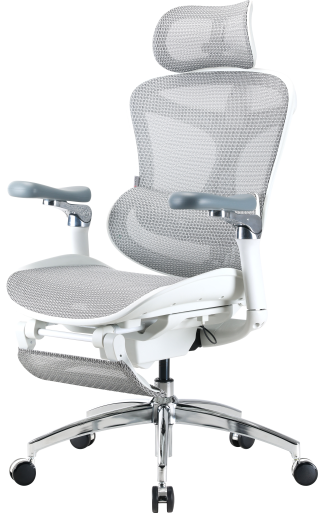 Крісло офісне з підставкою для ніг Sihoo DORO C300 Pro Mesh White with footrest