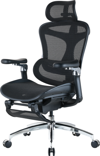 Крісло офісне з підставкою для ніг Sihoo DORO C300 Pro Mesh Black with footrest