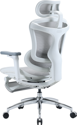 Крісло офісне з підставкою для ніг Sihoo DORO C300L Mesh White with footrest