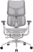 Крісло офісне Sihoo DORO S300 Mesh Light Grey