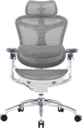 Крісло офісне Sihoo DORO C300 Pro Mesh White