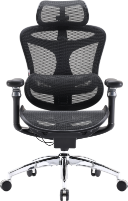 Крісло офісне Sihoo DORO C300 Pro Mesh Black