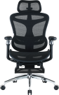 Крісло офісне з підставкою для ніг Sihoo DORO C300 Pro Mesh Black with footrest
