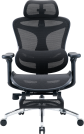 Крісло офісне з підставкою для ніг Sihoo DORO C300L Mesh Black with footrest
