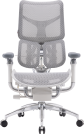 Крісло офісне Sihoo DORO S300 Mesh Light Grey