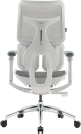 Крісло офісне Sihoo DORO S100 Mesh White