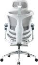 Крісло офісне з підставкою для ніг Sihoo DORO C300 Pro Mesh White with footrest
