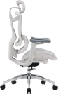 Крісло офісне Sihoo DORO C300L Mesh White
