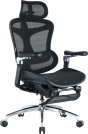 Крісло офісне з підставкою для ніг Sihoo DORO C300 Pro Mesh Black with footrest