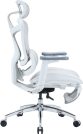 Крісло офісне з підставкою для ніг Sihoo DORO C300L Mesh White with footrest