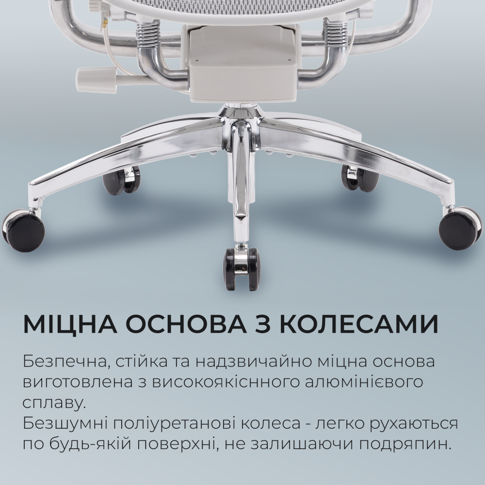 Крісло офісне Sihoo DORO S300 Mesh Light Grey